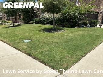 Lawn Cut nearby Rockwall, TX, 