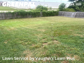Lawn Mow nearby Evansville, IN, 