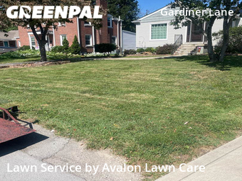 Lawn Care Service nearby Louisville, KY, 