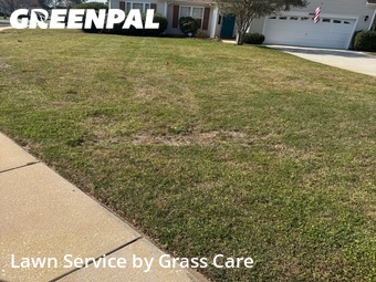 Grass Cutting nearby Pawleys Island, SC, 
