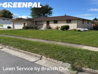 Backyard Landscaping In Buffalo,14206,Landscaping Cleanup by Branch Out, work completed in Oct , 2025