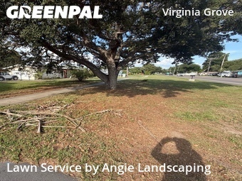 Yard Mowing nearby Clearwater, FL, 