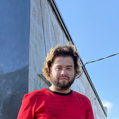 Design By Baez - Leaf removal service in Boca Raton, FL