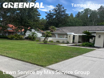 Lawn Mow nearby Tampa, FL, 