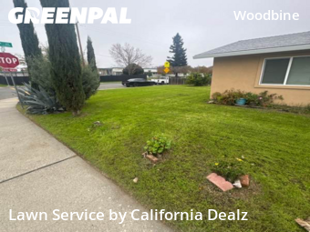 Lawn Care Service nearby Sacramento, CA, 