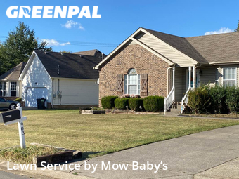 Lawn Cut nearby La Vergne, TN, 