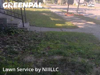 Lawn Cut nearby Muskegon Heights, MI, 