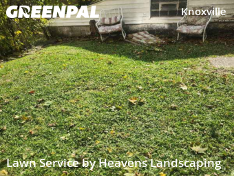 Weed Trimming in Pittsburgh, 15210, Landscaping Maintenance by Heavens Landscaping, work completed in Nov , 2025