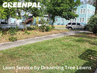 Grass Cutting nearby St. Petersburg, FL, 