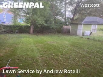 Grass Cut nearby Syracuse, NY, 