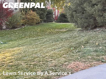 Yard Cutting nearby Fort Collins, CO, 