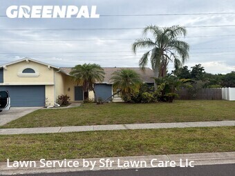 Lawn Cut nearby Palm Harbor, FL, 