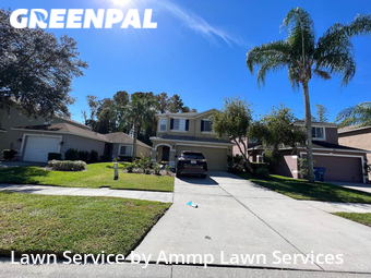 Grass Cutting nearby Wesley Chapel, FL, 