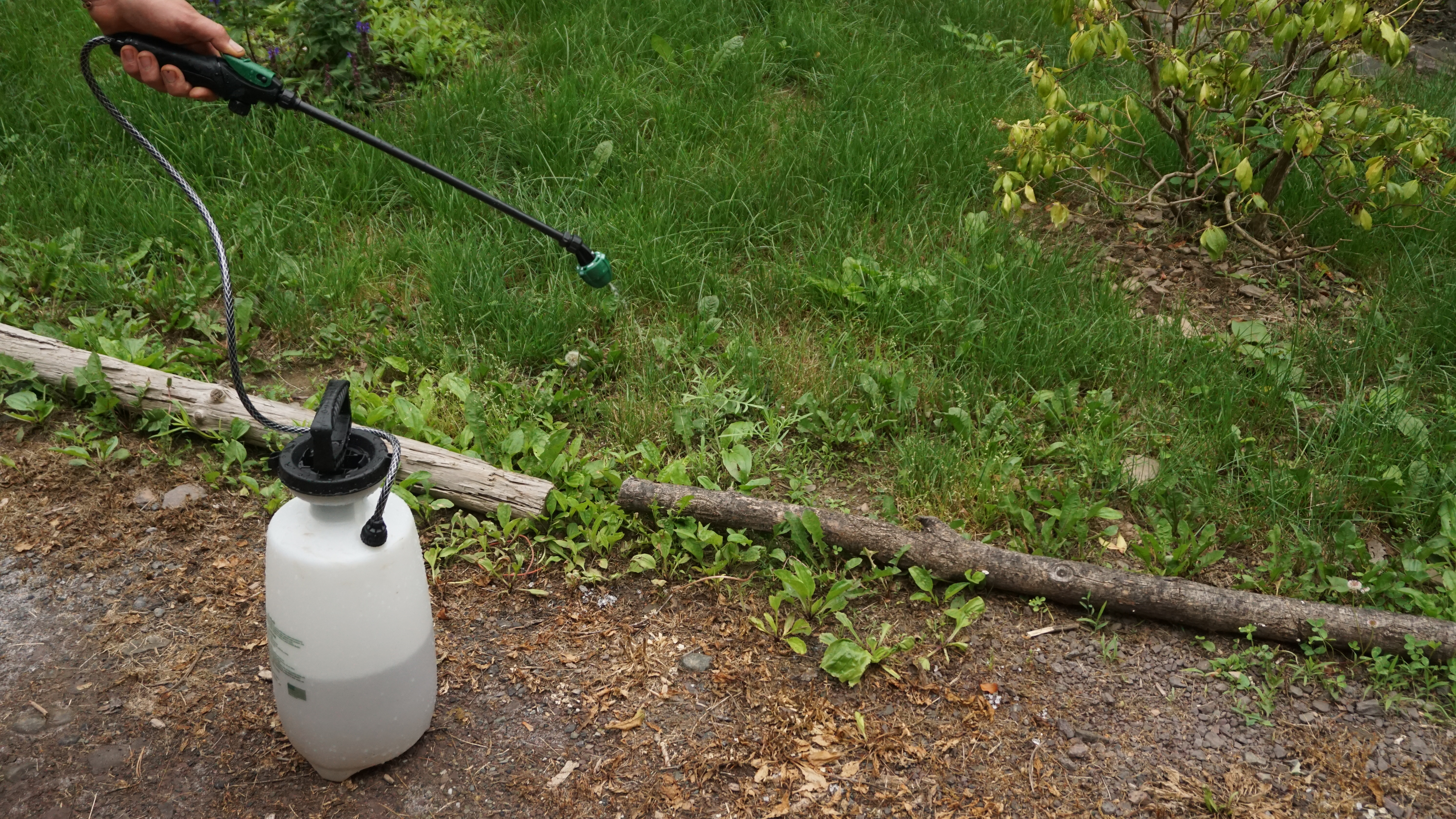 residential-lawn-cutting-businesses-in-Laredo-TX