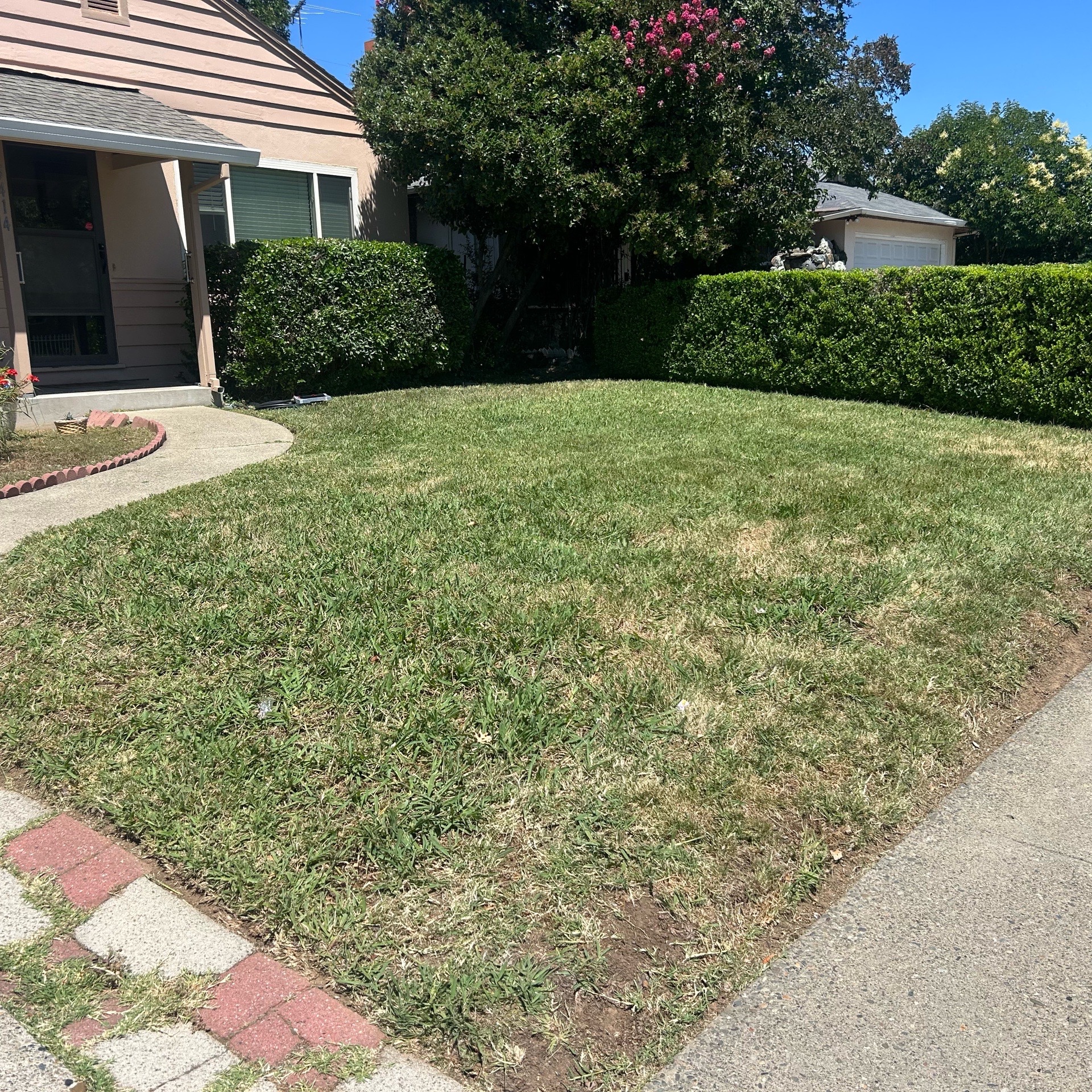 Lawn mowing work by Ocampo Lawn Care in Stockton, CA