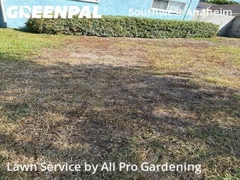 Work completed by local-landscaping-services-in-Anaheim-CA