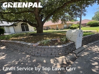 Yard Cutting nearby Grand Prairie, TX, 