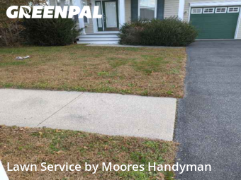 Lawn Cutting nearby Millsboro, MD, 