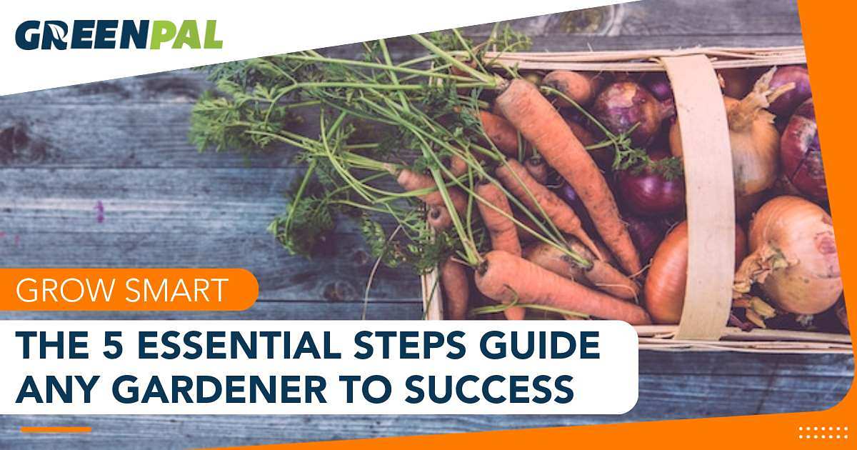 5 Tips to Build a Vegetable Garden That Truly Works | GreenPal