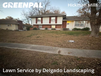 Grass Cut nearby Kansas City, KS, 