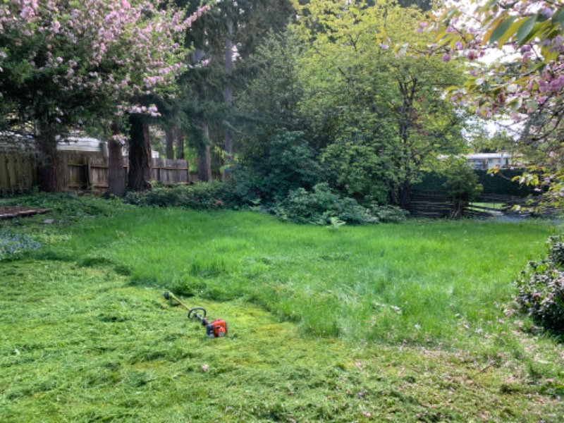 Yard mowing company in Seattle, WA, 98115