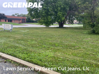 Lawn Mowing Service nearby Elgin, IL, 