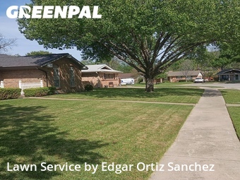 Grass Cut nearby Richardson, TX, 