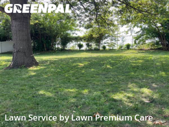 Lawn Mowing nearby Bellevue, NE, 