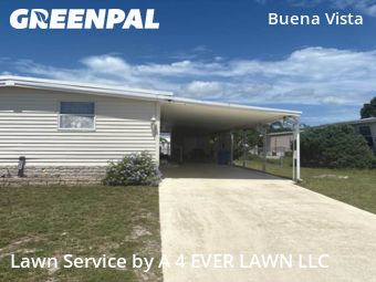 Yard Mowing nearby Holiday, FL, 