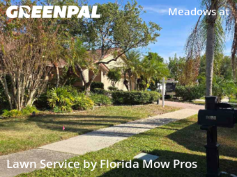 Landscaping In Tampa,33635,Landscape Design by Florida Mow Pros, work completed in Nov , 2025