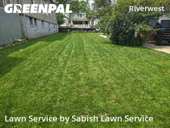 Lawn Cut nearby Milwaukee, WI, 