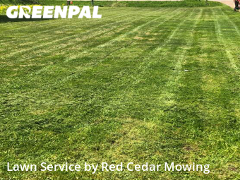 Lawn Cutting nearby Grand Ledge, MI, 