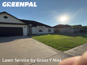 Affordable Landscaping In Brownsville,78526,Landscape Design by Grass Y Mas , work completed in Nov , 2025