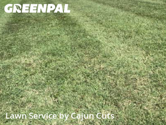 Lawn Maintenance nearby Murfreesboro, TN, 
