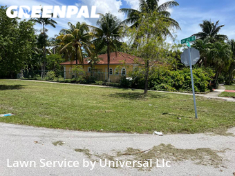 Grass Cutting nearby Fort Lauderdale, FL, 