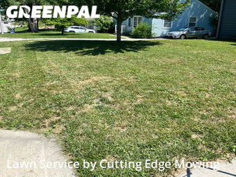 Yard Mowing nearby Kansas City, MO, 