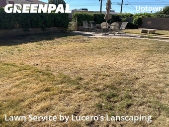 Lawn Care Service nearby Albuquerque, NM, 