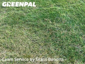 Lawn Care Service nearby Billings, MT, 