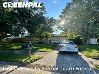 Lawn Care nearby Oldsmar, FL, 