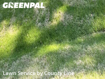 Lawn Cutting nearby Memphis, TN, 