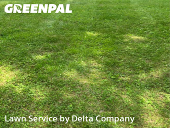 Lawn Cutting in Bowling Green, 42104, Yard Cutting by Delta Company , work completed in Nov , 2025
