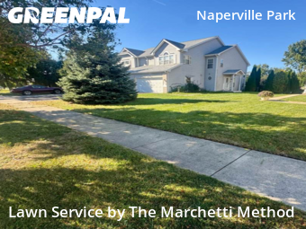 Grass Cut nearby Naperville, IL, 