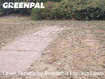 Lawn Care nearby Mount Vernon, IL, 