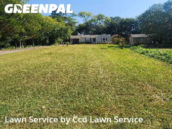 Lawn Cut nearby Knoxville, NC, 