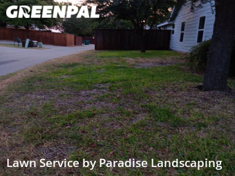 Lawn Service nearby Mc Kinney, TX, 