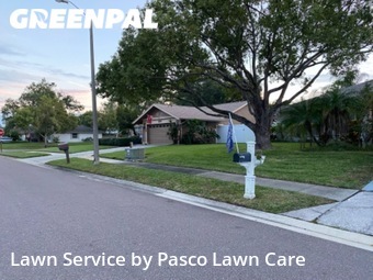 Grass Cutting nearby Palm Harbor, FL, 