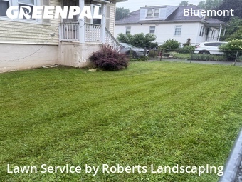 Lawn Maintenance nearby Arlington, VA, 
