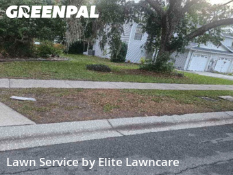 Grass Cut nearby Tampa, FL, 