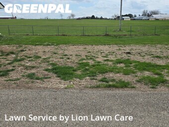Yard Mowing nearby London, OH, 
