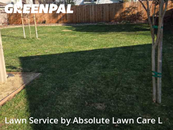 Grass Cut nearby Elk Grove, CA, 